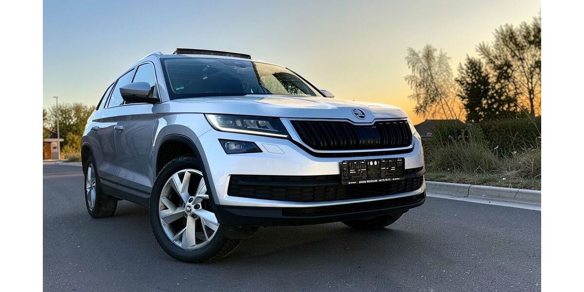 Skoda Kodiaq 214.547 km 15.499 &euro; Potsdam 14482