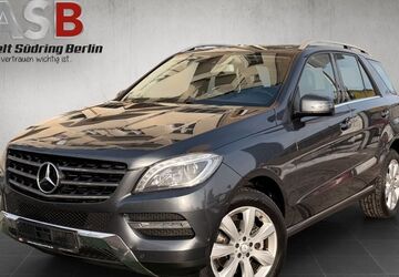 Mercedes-Benz ML 250 178.100 km 18.999 &euro; Berlin 12055