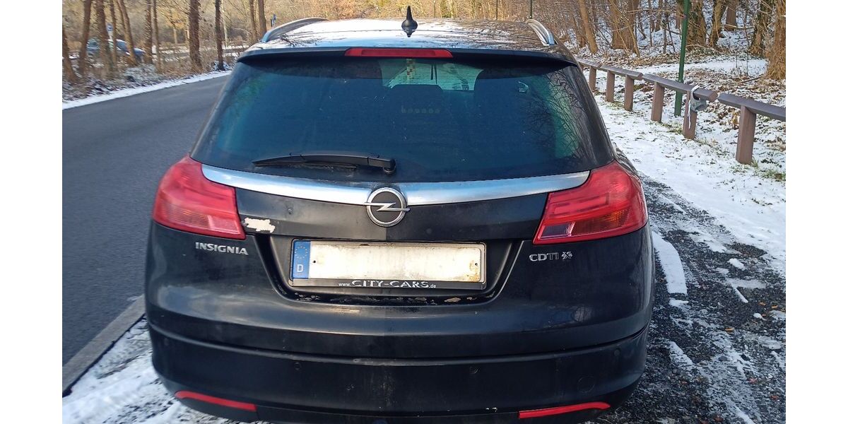 Opel Insignia 231.450 km 3.000 &euro; Schwielowsee 14548