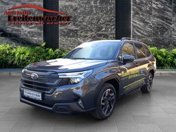 Gebrauchte Subaru Forester