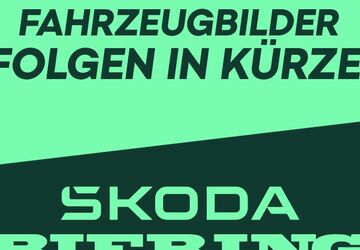 Skoda Octavia 20.000 km 31.990 &euro; Schwielowsee OT Geltow 14548