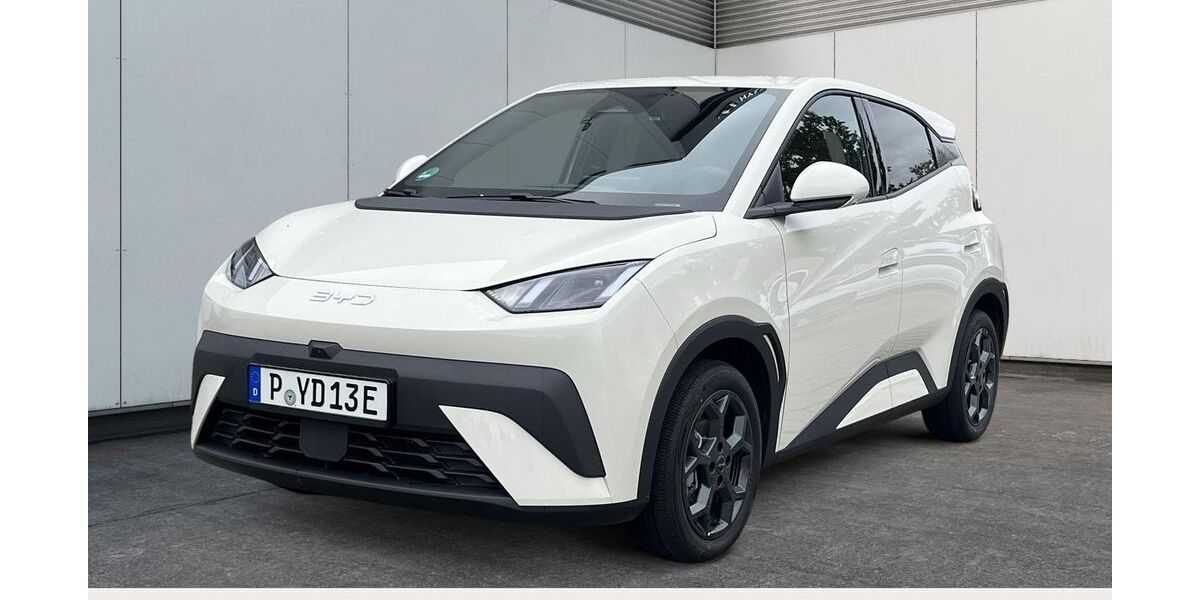 BYD Andere 5.000 km 23.990 &euro; Potsdam 14469