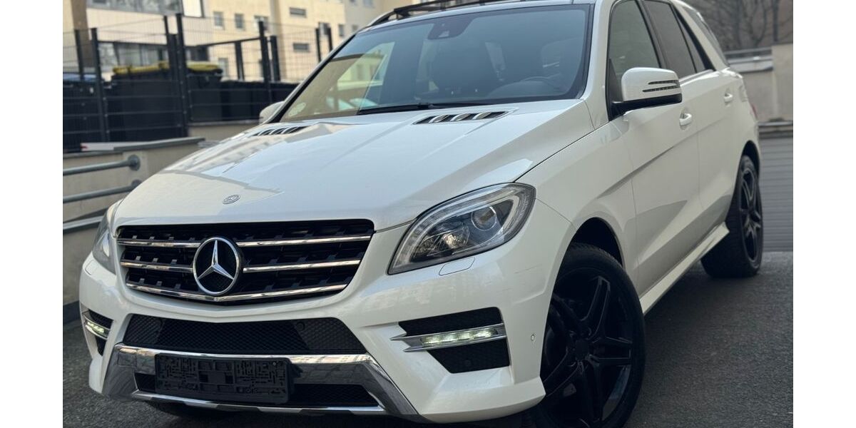 Mercedes-Benz ML 350 199.900 km 18.999 &euro; Berlin 13089