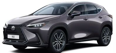 Gebrauchte Lexus NX