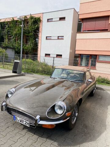 Gebrauchte Jaguar E-Type