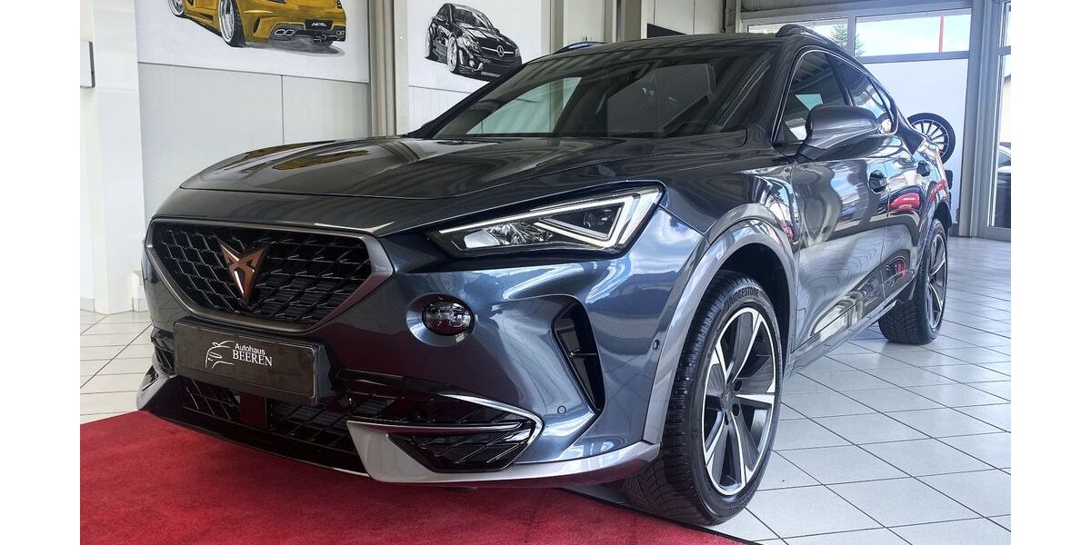 Cupra Formentor 27.090 km 28.990 &euro; Rathenow 14712