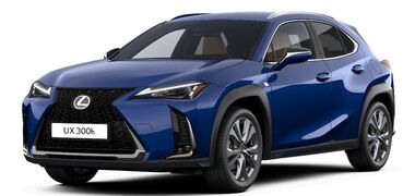 Gebrauchte Lexus UX